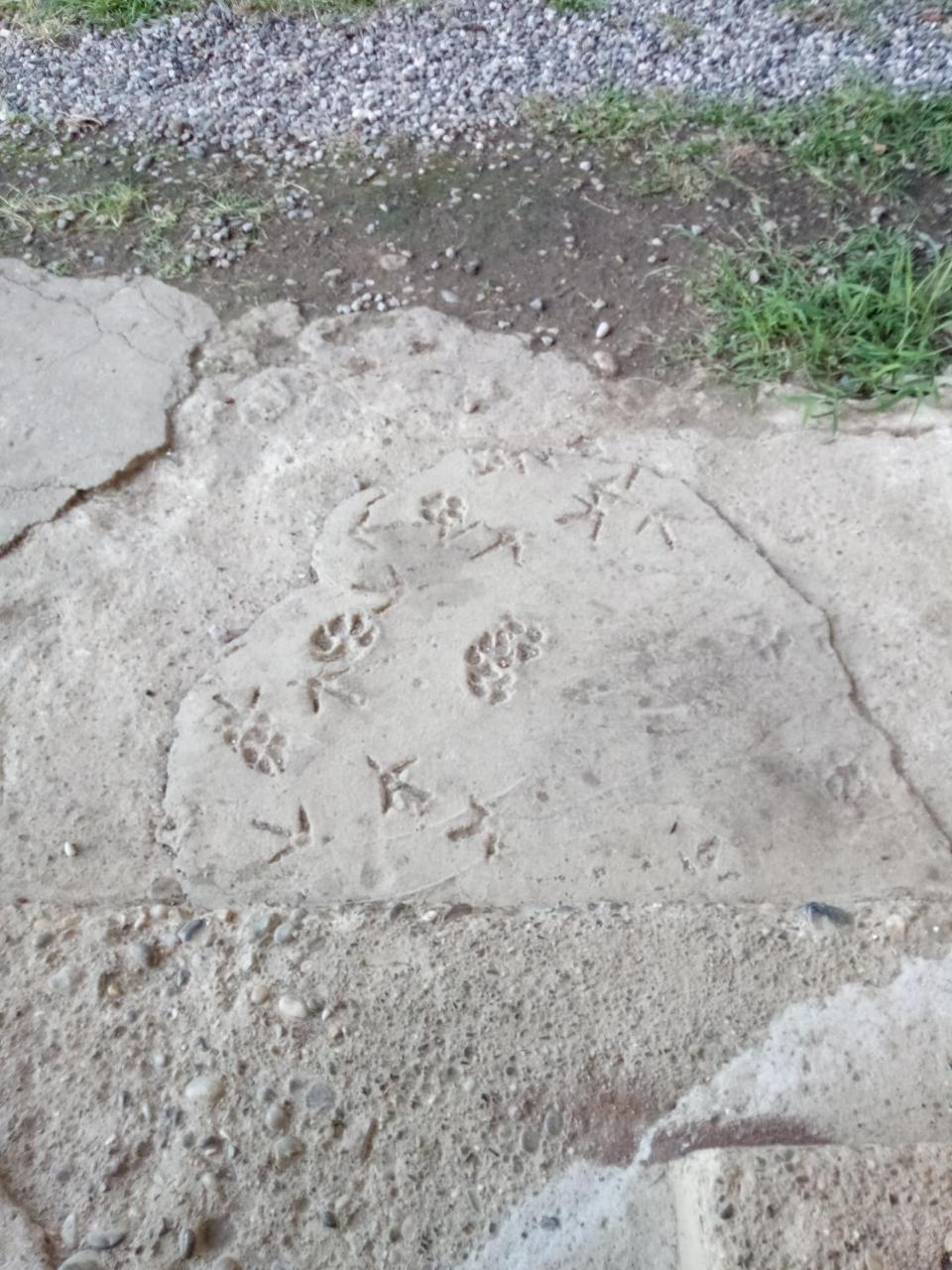 فندق بيزوندافي  U Vili المظهر الخارجي الصورة
